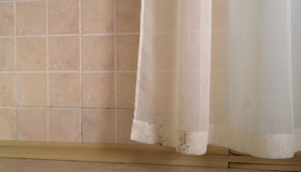 Mold Remediation for Rental Properties in Gallitzin, PA