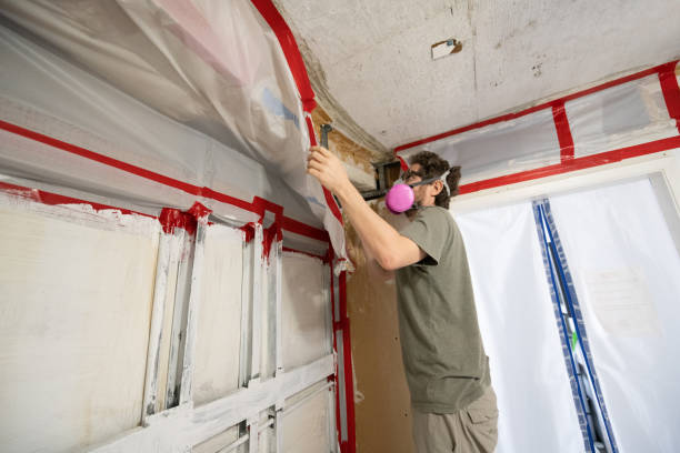 Trusted Gallitzin, PA Mold Removal Experts
